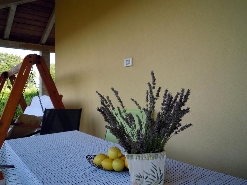 Holiday House Emc Umag Exterior foto
